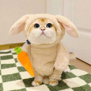 small dog and cat  Rabbit Dress