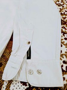 Branded Shirt For Men