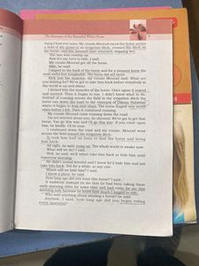 Snapshots - Class XI Supplementary Reader