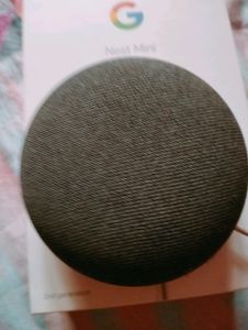 Google Nest Mini