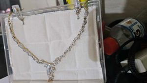 Elegant Necklace & Earring Set..very Beautiful set