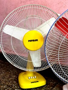 Table Fans Combo🤗