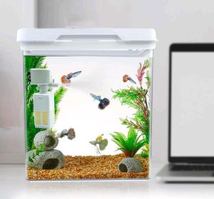 🐠 🐟 🐠 🐟 Fish Aquarium 🐠🐟🐠🐟