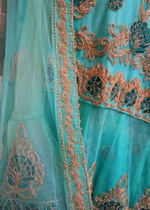 Embroidered Lehnga 2 Pc