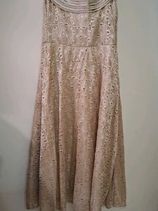 Elegant Lace Occasion Dress