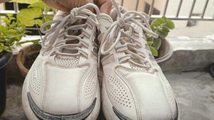 Stylish White Sneakers