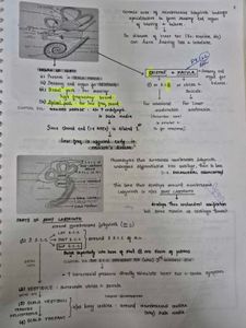 Marrow ENT Notes - Medical Study Aid