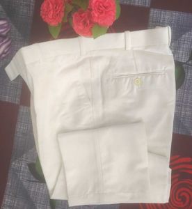 Mens Regular Fit Cotton Blend Formal Trouser