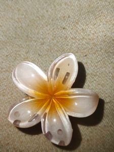 Cute Flower Hair Claw Clip