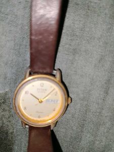 Real Titan Watch