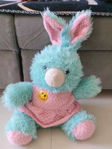 Teddy bear