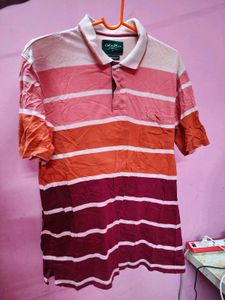 Striped Polo Shirt