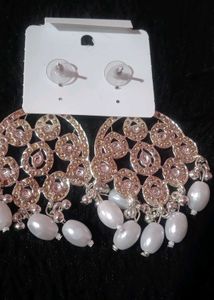 Stunning Silver Tone Dangle Earrings