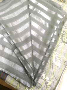 Grey Transpanet Saree