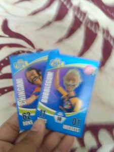 Collectible Motu Patlu Cards