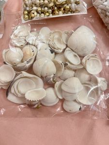 Beads And Shells For Craft