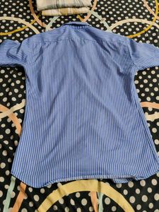 Blue Striped Shirt