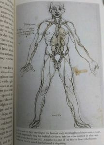 Bill Bryson's 'The Body'