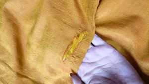 Beautiful Mustard Saree💗💗💗