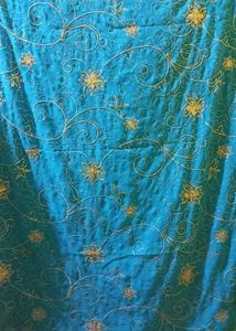 Women&#39;s saree