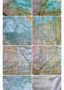 TISSUE ORGANZA Elegant Embroidered Saree