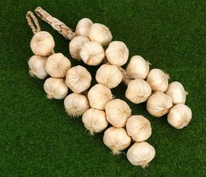 1 Artificial Onion/Garlic  Simulation String