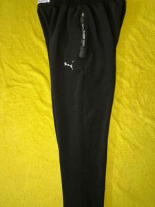 Cozy &amp; Fresh Unisex Joggers for Sale!