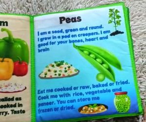 SOFT CLOTH BOOKS - HEALTHY VEGETABLES
