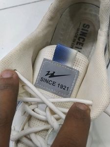 Campus Shoe
