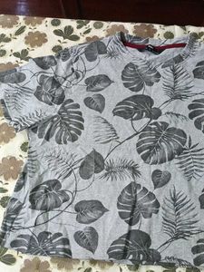 Women Short Grey Tshirt