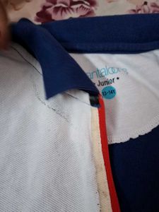 Stylish Polo T-Shirt - Blue &amp; White