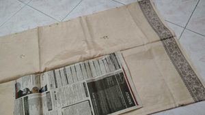 Beige Saree with stitched Blouse