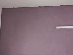 Asian Paints Lavender Paint
