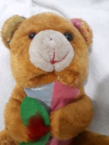TEDDY BEAR