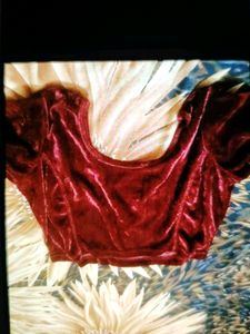 Velvet Blouse
