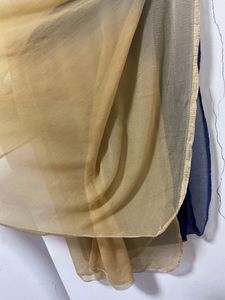 Blue And Beige Dupatta