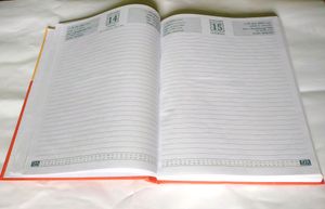 New Diary