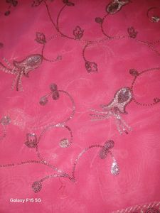 Pink Saree Chamki Computer Work With Blouse 👚