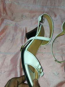Latest Women Heels