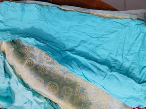 Beautiful Saree With Matching Blouse And Peticoat