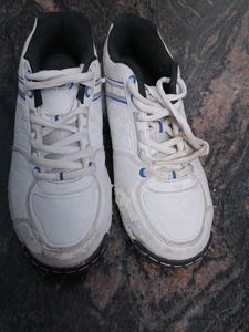 Sports Shoes For Mens