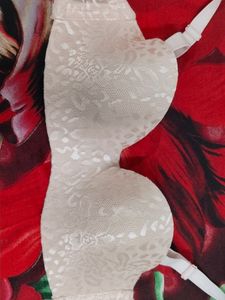 Women Net Pedded Bra ..