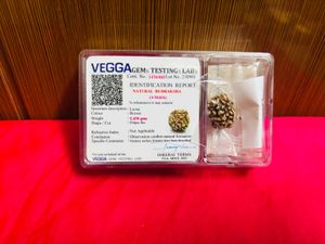 4 mukhi rudraksha