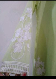 Elegant and beautiful Kurta Set