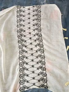 Elegant Embroidered Dupatta