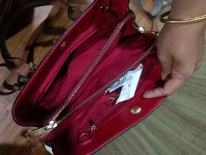 Aldo Striped Handbag