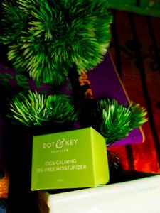 🎋Cica&amp;Niacinamide Moisturizer Dot And Key