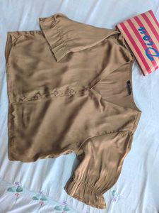 Elegant Brown Top
