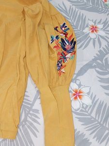 New Full Sleeves Crop Top With Embroidered Sleeve