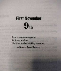 November 9 - Colleen Hoover